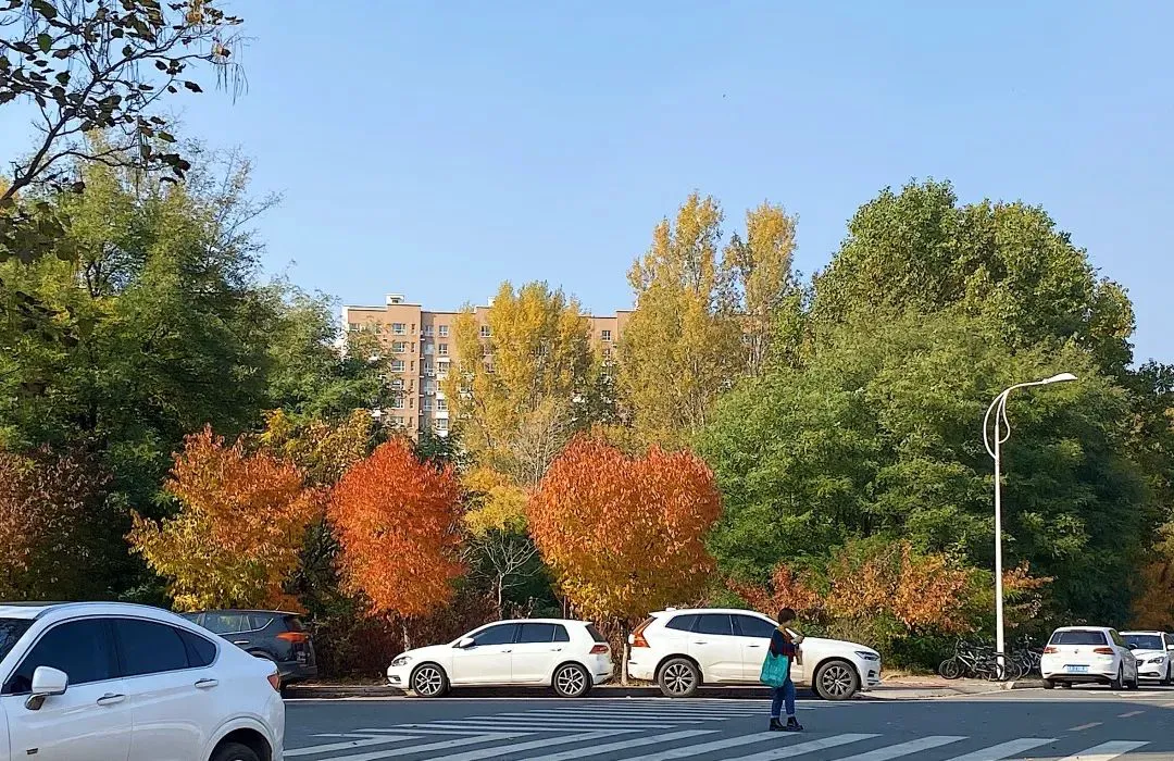 _2